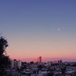 Sorry in Advance, Mom: His Name Was Nick