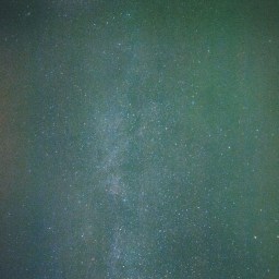 2016: Don’t Do Nothing