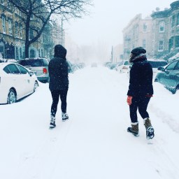 Winter Came: A Survival Guide